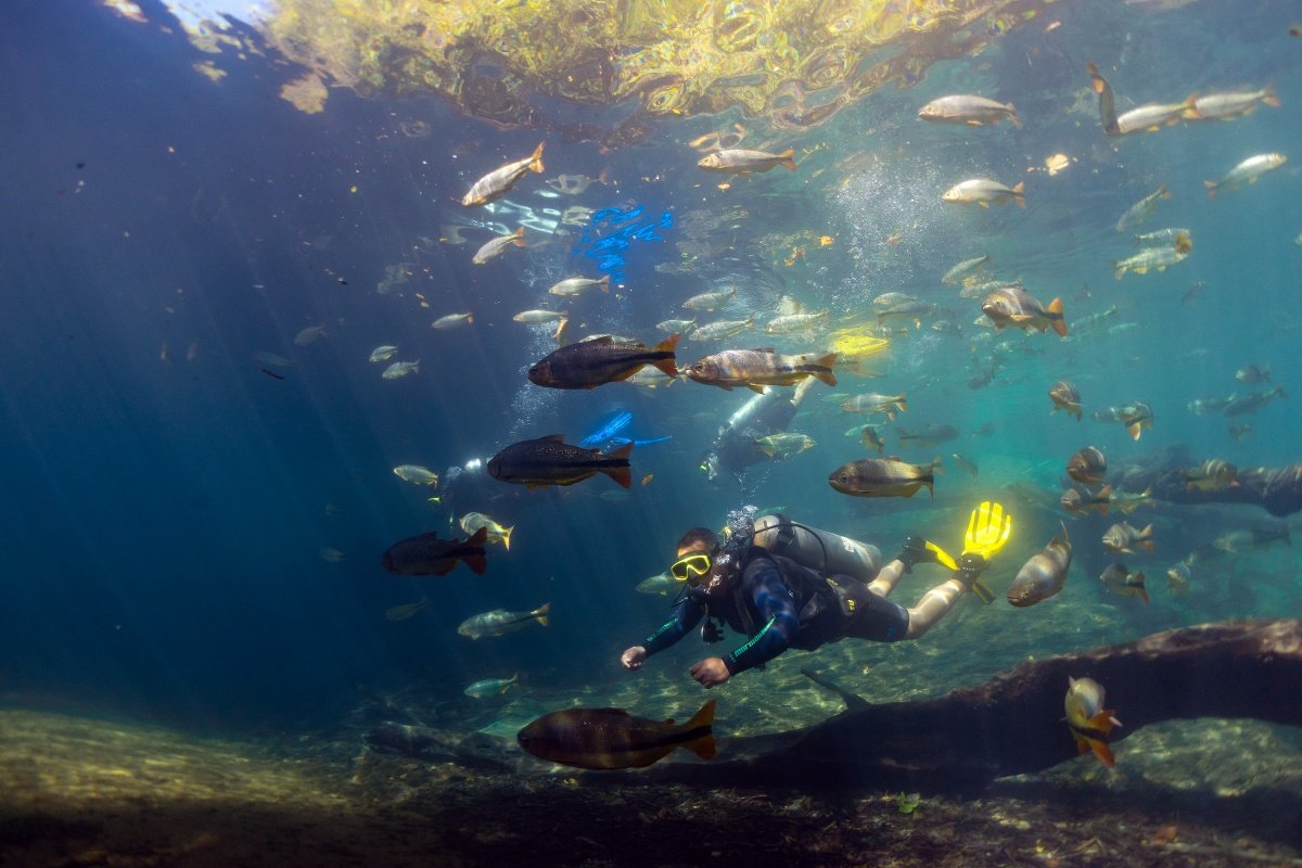 Mergulho Rio da Prata