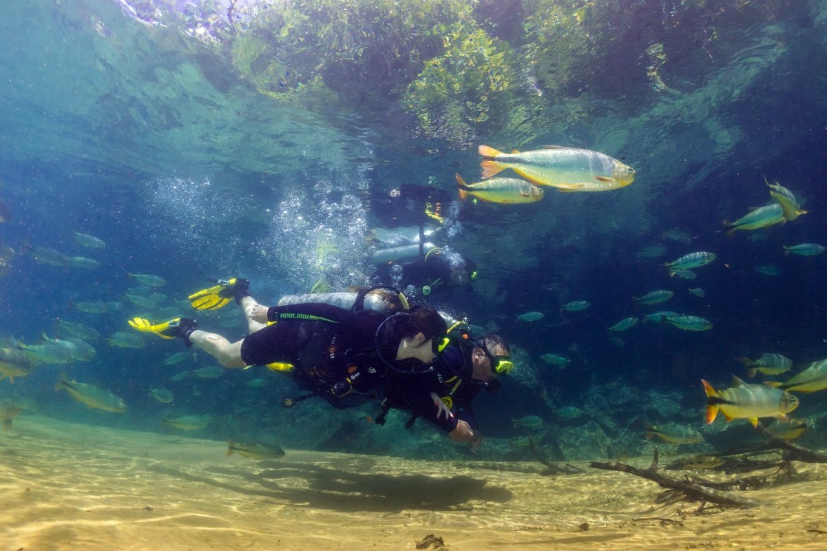 Mergulho Rio da Prata