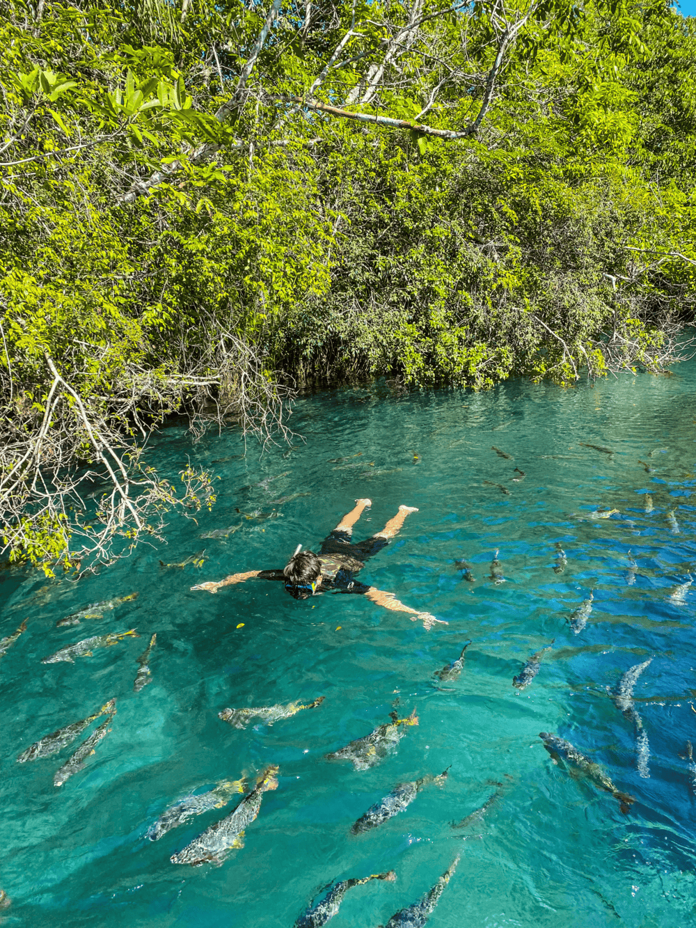 Flutuação rio formoso