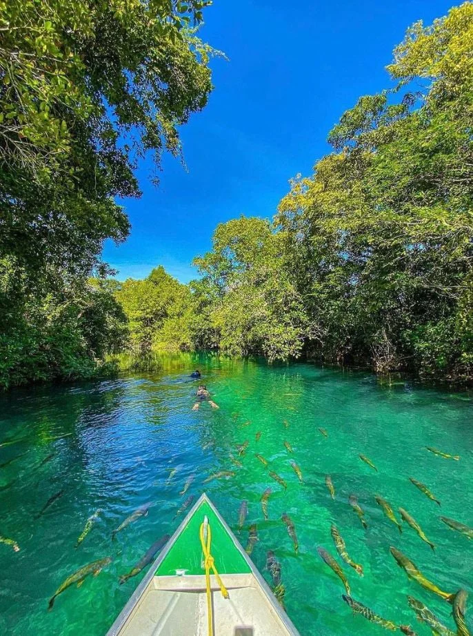 Barco de apoio