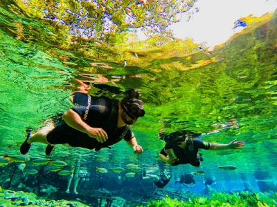 Aquário Natural | Flutuação